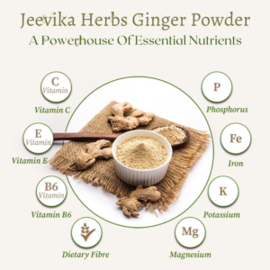 GREENELAND DRY GINGER POWDER (100g) – Pure & Natural Remedy for Health & Wellness