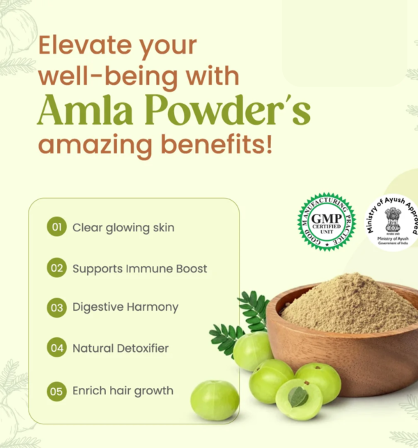 AMLA POWDER (200g) – Natural Vitamin C Rich Superfood for Hair, Skin & Immunity - Image 3